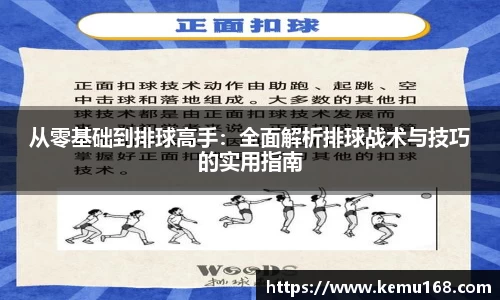 从零基础到排球高手：全面解析排球战术与技巧的实用指南